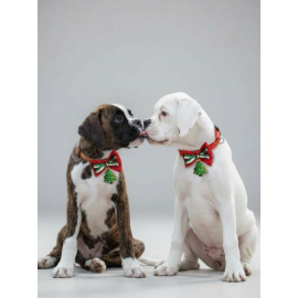 Yılbaşı Agaçı Köpek Papyon Tasması | Kırmızı Fiyonk Boyun Aksesuarı | Noel Temalı Köpek Süsü | Orta ve Büyük Irklar İçin