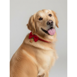 Yılbaşı Geyiği Köpek Papyon Tasması | Kırmızı Fiyonk Boyun Aksesuarı | Noel Temalı Köpek Süsü | Orta ve Büyük Irklar İçin
