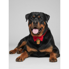 Yılbaşı Geyiği Köpek Papyon Tasması | Kırmızı Fiyonk Boyun Aksesuarı | Noel Temalı Köpek Süsü | Orta ve Büyük Irklar İçin