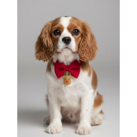 Yılbaşı Geyiği Küçük Irk Köpek Papyon Tasması | Kırmızı Fiyonk Boyun Aksesuarı | Noel Temalı Köpek Süsü