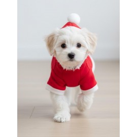 Boo Boo Teddy Yılbaşı Köpek Kıyafeti Premium Kırmızı Polar | Kapüşonlu Noel Köpek Kostümü | Küçük Irklar İçin