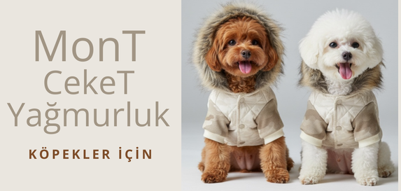 Ufak Irk Köpek Montları