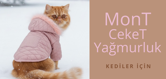 Ufak Irk Köpek Montları