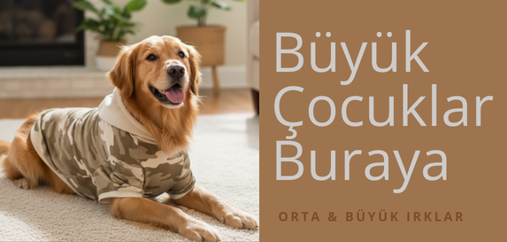 Orta ve Büyük Irk Köpek Kazak Süeter Sweatshirt