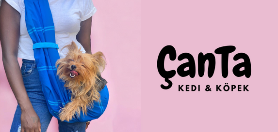 kedi ve köpek taşıma çantaları