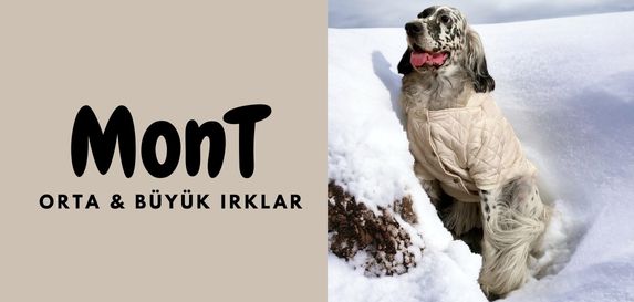 Ufak Irk Köpek Montları