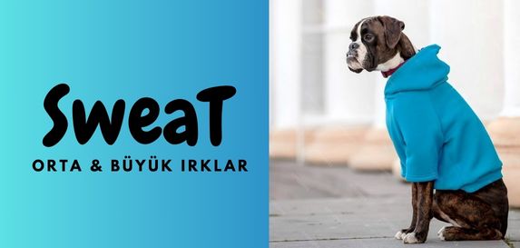 Orta ve Büyük Irk Köpek Kazak Süeter Sweatshirt