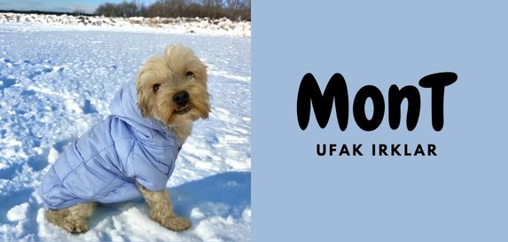 Ufak Irk Köpek Montları