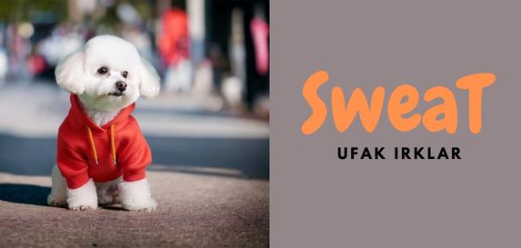 Ufak Irk Köpek Kazak Süeter Sweatshirt